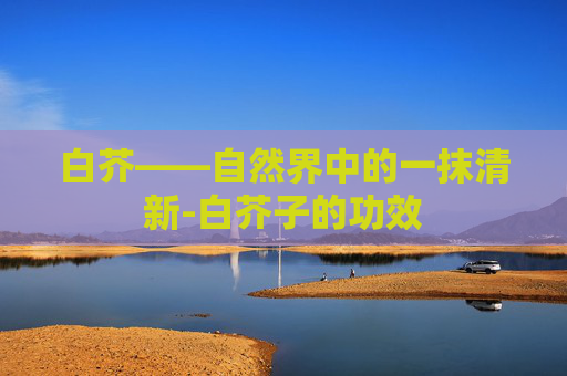 白芥——自然界中的一抹清新-白芥子的功效