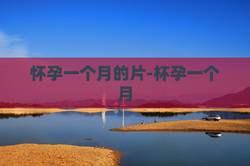 怀孕一个月的片-杯孕一个月