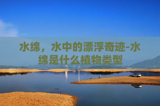 水绵，水中的漂浮奇迹-水绵是什么植物类型