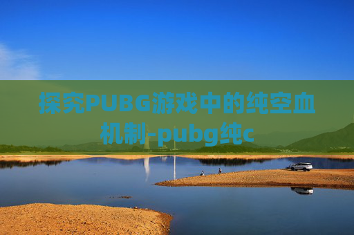探究PUBG游戏中的纯空血机制-pubg纯c