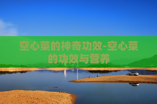 空心菜的神奇功效-空心菜的功效与营养