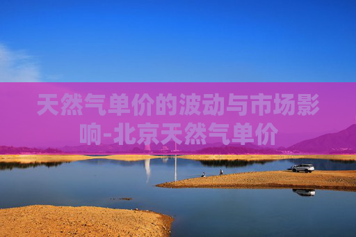 天然气单价的波动与市场影响-北京天然气单价