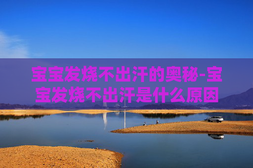 宝宝发烧不出汗的奥秘-宝宝发烧不出汗是什么原因