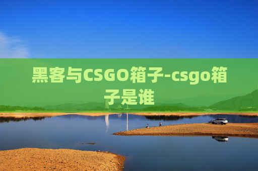 黑客与CSGO箱子-csgo箱子是谁