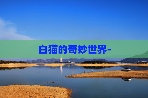 白猫的奇妙世界-