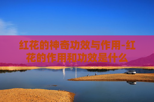 红花的神奇功效与作用-红花的作用和功效是什么