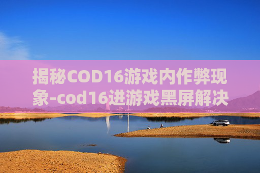 揭秘COD16游戏内作弊现象-cod16进游戏黑屏解决方法
