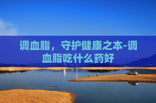 调血脂，守护健康之本-调血脂吃什么药好