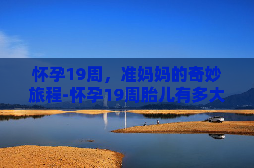 怀孕19周，准妈妈的奇妙旅程-怀孕19周胎儿有多大
