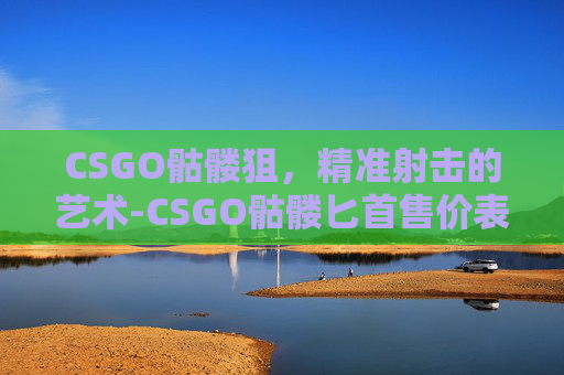 CSGO骷髅狙，精准射击的艺术-CSGO骷髅匕首售价表