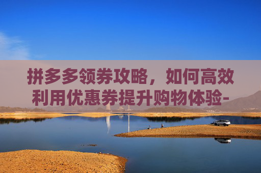 拼多多领券攻略，如何高效利用优惠券提升购物体验-拼多多领券入口