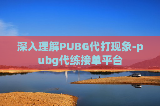 深入理解PUBG代打现象-pubg代练接单平台
