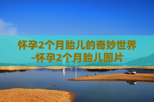怀孕2个月胎儿的奇妙世界-怀孕2个月胎儿图片