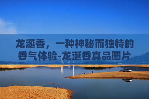 龙涎香，一种神秘而独特的香气体验-龙涎香真品图片