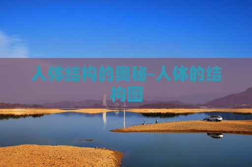 人体结构的奥秘-人体的结构图