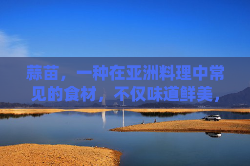 蒜苗，一种在亚洲料理中常见的食材，不仅味道鲜美，而且具有多种健康功效。本文将探讨蒜苗的营养价值、对消化系统的影响以及其在传统医学中的应用。-蒜苗的功效与禁忌