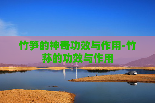 竹笋的神奇功效与作用-竹荪的功效与作用