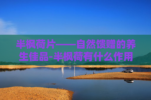 半枫荷片——自然馈赠的养生佳品-半枫荷有什么作用