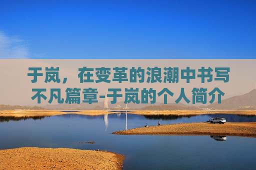 于岚，在变革的浪潮中书写不凡篇章-于岚的个人简介