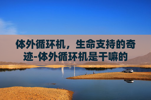 体外循环机，生命支持的奇迹-体外循环机是干嘛的