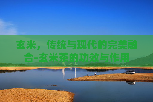 玄米，传统与现代的完美融合-玄米茶的功效与作用