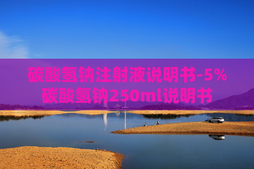 碳酸氢钠注射液说明书-5%碳酸氢钠250ml说明书