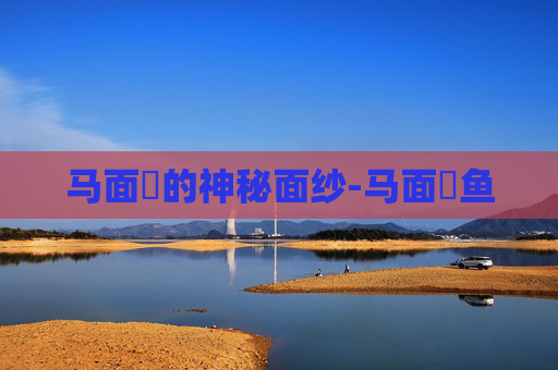 马面鲀的神秘面纱-马面鲀鱼