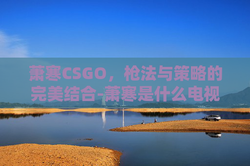 萧寒CSGO，枪法与策略的完美结合-萧寒是什么电视剧