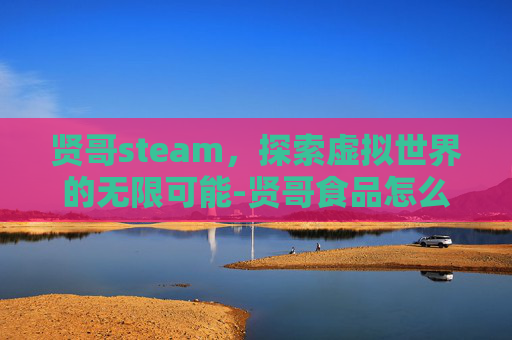 贤哥steam，探索虚拟世界的无限可能-贤哥食品怎么样