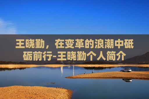 王晓勤，在变革的浪潮中砥砺前行-王晓勤个人简介