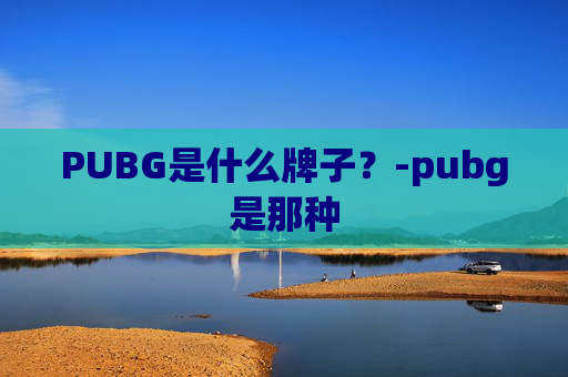 PUBG是什么牌子？-pubg是那种