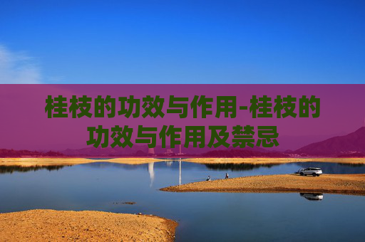 桂枝的功效与作用-桂枝的功效与作用及禁忌