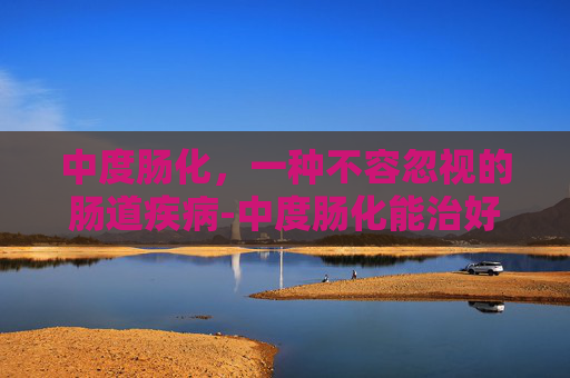 中度肠化，一种不容忽视的肠道疾病-中度肠化能治好吗