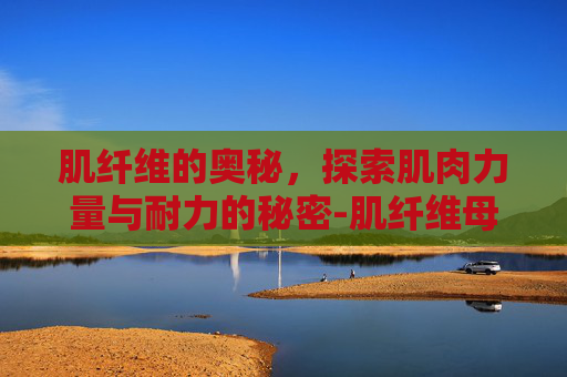 肌纤维的奥秘，探索肌肉力量与耐力的秘密-肌纤维母细胞瘤