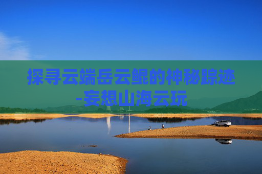 探寻云端岳云鲲的神秘踪迹-妄想山海云玩