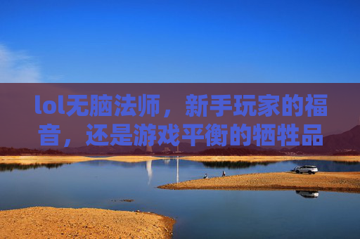 lol无脑法师，新手玩家的福音，还是游戏平衡的牺牲品？-无脑法师vs手法法师