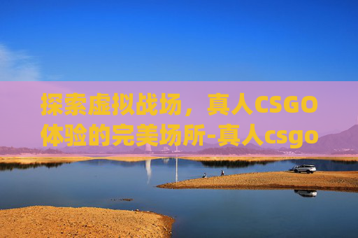 探索虚拟战场，真人CSGO体验的完美场所-真人csgo是什么意思