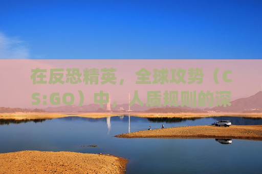 在反恐精英，全球攻势（CS:GO）中，人质规则的深度解析-csgo人质人质是什么意思