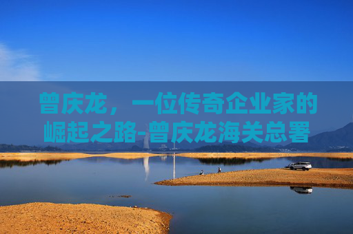曾庆龙，一位传奇企业家的崛起之路-曾庆龙海关总署
