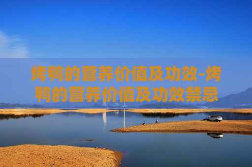 烤鸭的营养价值及功效-烤鸭的营养价值及功效禁忌