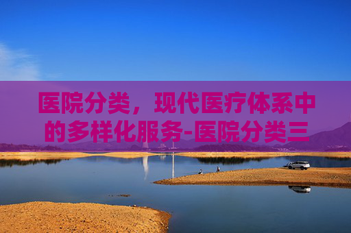 医院分类，现代医疗体系中的多样化服务-医院分类三甲二甲