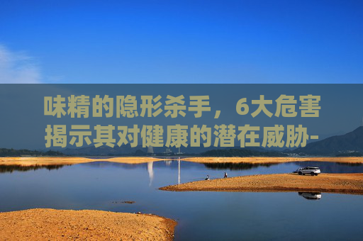 味精的隐形杀手，6大危害揭示其对健康的潜在威胁-吃味精对人的6大危害是什么