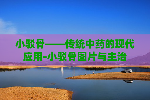 小驳骨——传统中药的现代应用-小驳骨图片与主治