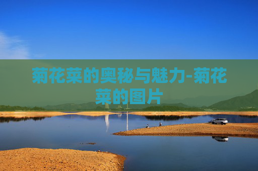 菊花菜的奥秘与魅力-菊花菜的图片
