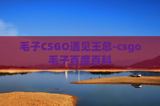 毛子CSGO遇见王总-csgo毛子百度百科
