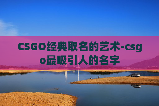 CSGO经典取名的艺术-csgo最吸引人的名字