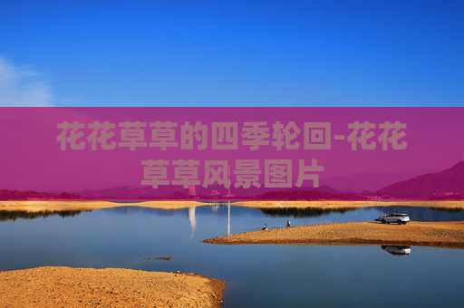花花草草的四季轮回-花花草草风景图片
