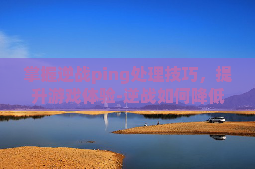 掌握逆战ping处理技巧，提升游戏体验-逆战如何降低ping