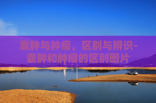 囊肿与肿瘤，区别与辨识-囊肿和肿瘤的区别图片