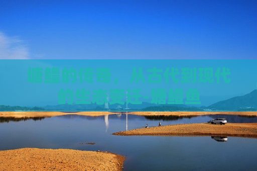 塘鳢的传奇，从古代到现代的生态变迁-塘鳢鱼